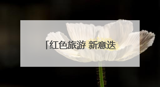 红色旅游 新意迭出（文旅新象）
