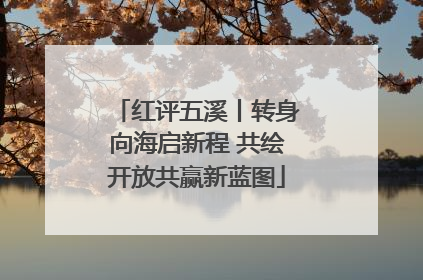 红评五溪丨转身向海启新程 共绘开放共赢新蓝图