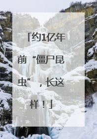 约1亿年前“僵尸昆虫”，长这样！