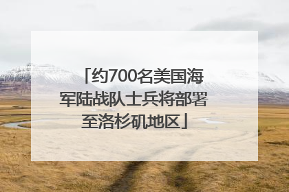 约700名美国海军陆战队士兵将部署至洛杉矶地区