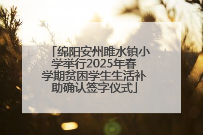 绵阳安州雎水镇小学举行2025年春学期贫困学生生活补助确认签字仪式