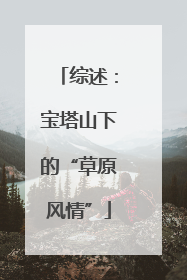 综述：宝塔山下的“草原风情”