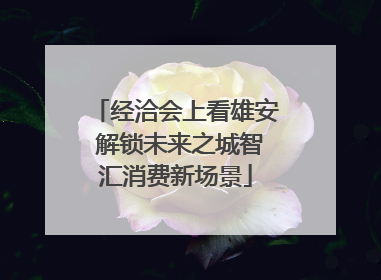 经洽会上看雄安 解锁未来之城智汇消费新场景