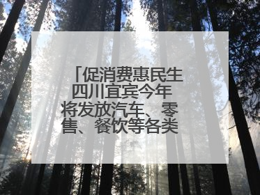 促消费惠民生 四川宜宾今年将发放汽车、零售、餐饮等各类消费券2亿元