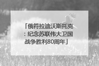 俄符拉迪沃斯托克：纪念苏联伟大卫国战争胜利80周年