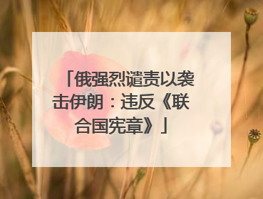 俄强烈谴责以袭击伊朗：违反《联合国宪章》