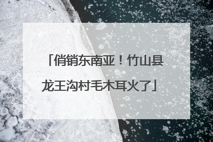 俏销东南亚！竹山县龙王沟村毛木耳火了