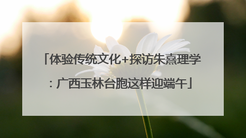体验传统文化+探访朱熹理学：广西玉林台胞这样迎端午