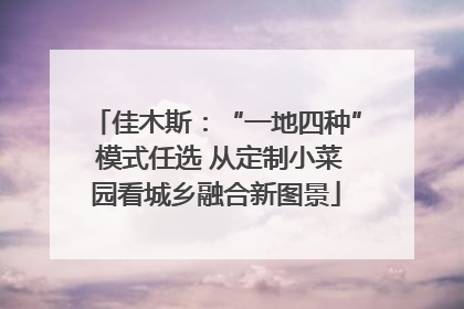 佳木斯：“一地四种” 模式任选 从定制小菜园看城乡融合新图景