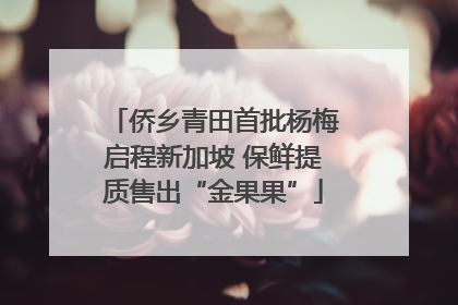 侨乡青田首批杨梅启程新加坡 保鲜提质售出“金果果”