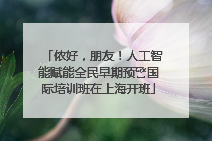 侬好，朋友！人工智能赋能全民早期预警国际培训班在上海开班