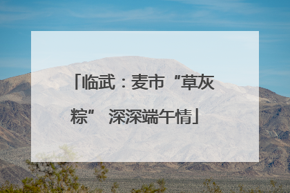 临武：麦市“草灰粽” 深深端午情