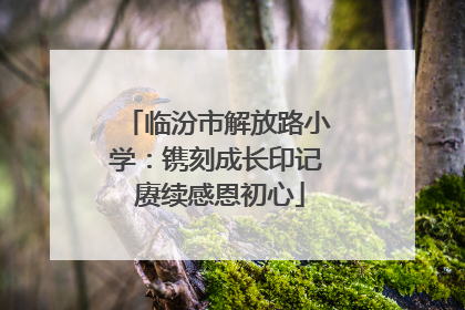 临汾市解放路小学：镌刻成长印记 赓续感恩初心