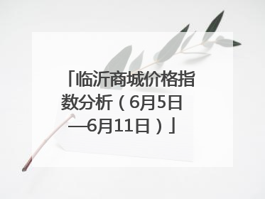 临沂商城价格指数分析（6月5日—6月11日）