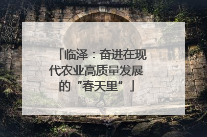 临泽：奋进在现代农业高质量发展的“春天里”