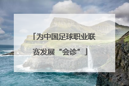 为中国足球职业联赛发展“会诊”