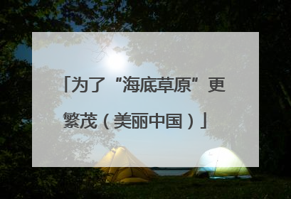 为了“海底草原”更繁茂（美丽中国）