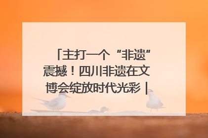 主打一个“非遗”震撼！四川非遗在文博会绽放时代光彩｜文博向“新”