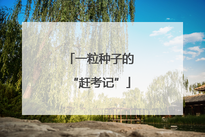 一粒种子的“赶考记”