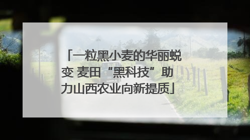 一粒黑小麦的华丽蜕变 麦田“黑科技”助力山西农业向新提质
