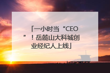 一小时当“CEO”！岳麓山大科城创业经纪人上线