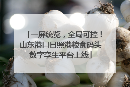 一屏统览，全局可控！山东港口日照港粮食码头数字孪生平台上线