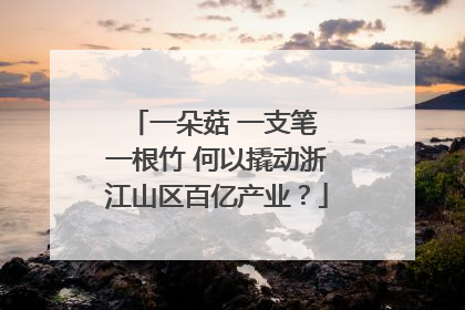 一朵菇 一支笔 一根竹 何以撬动浙江山区百亿产业？