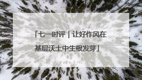 七一时评｜让好作风在基层沃土中生根发芽
