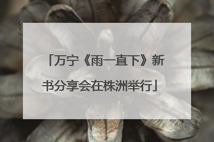 万宁《雨一直下》新书分享会在株洲举行