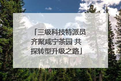 三级科技特派员齐聚咸宁茶园 共探转型升级之路