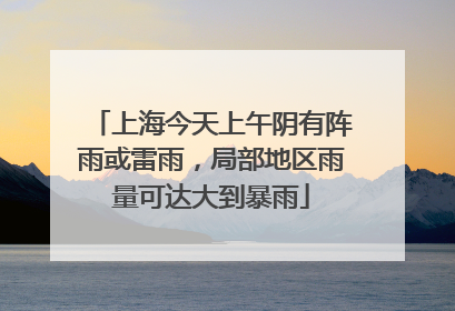 上海今天上午阴有阵雨或雷雨，局部地区雨量可达大到暴雨