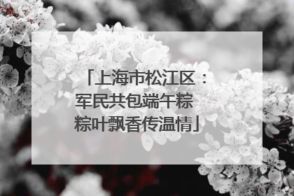 上海市松江区：军民共包端午粽 粽叶飘香传温情