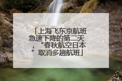 上海飞东京航班急速下降的第二天，“春秋航空日本”取消多趟航班