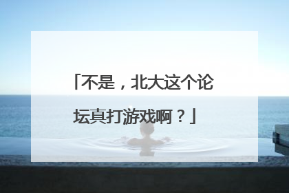 不是，北大这个论坛真打游戏啊？