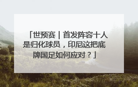 世预赛｜首发阵容十人是归化球员，印尼这把底牌国足如何应对？