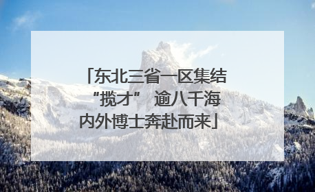 东北三省一区集结“揽才” 逾八千海内外博士奔赴而来