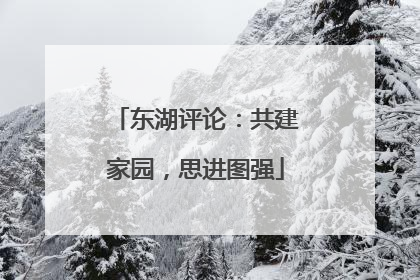 东湖评论：共建家园，思进图强