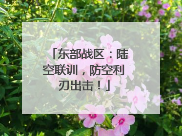 东部战区：陆空联训，防空利刃出击！