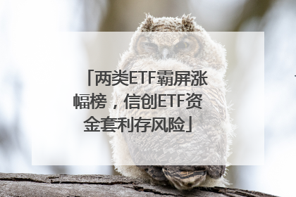 两类ETF霸屏涨幅榜，信创ETF资金套利存风险