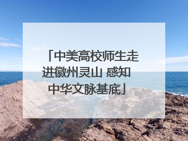中美高校师生走进徽州灵山 感知中华文脉基底