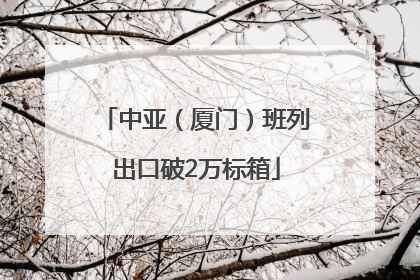 中亚（厦门）班列出口破2万标箱