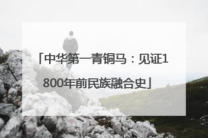 中华第一青铜马：见证1800年前民族融合史