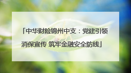 中华财险锦州中支：党建引领消保宣传 筑牢金融安全防线