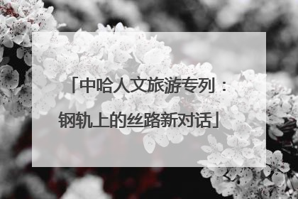 中哈人文旅游专列：钢轨上的丝路新对话