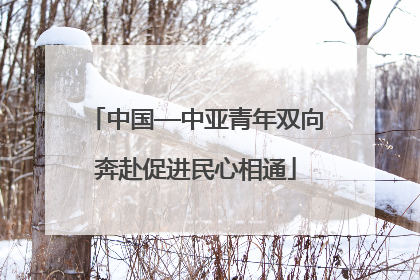 中国—中亚青年双向奔赴促进民心相通