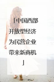 中国西部开放型经济为民营企业带来新商机