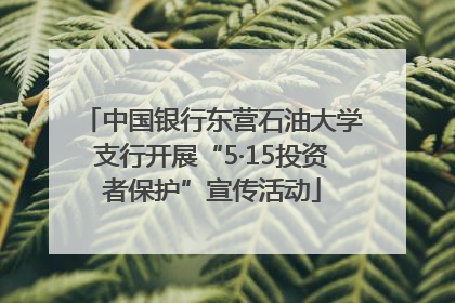 中国银行东营石油大学支行开展“5·15投资者保护”宣传活动