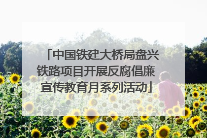 中国铁建大桥局盘兴铁路项目开展反腐倡廉宣传教育月系列活动