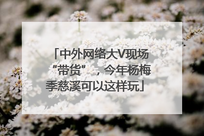 中外网络大V现场“带货”，今年杨梅季慈溪可以这样玩