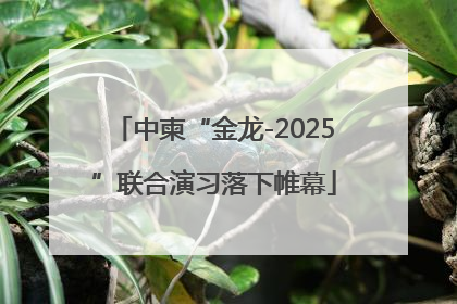 中柬“金龙-2025”联合演习落下帷幕